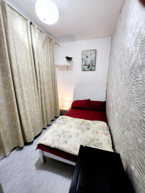 Couples ROOM with private Balcony TV FRIDGE